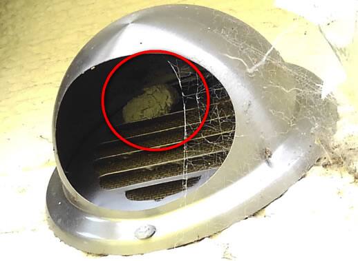 ドロバチの巣注意点換気口